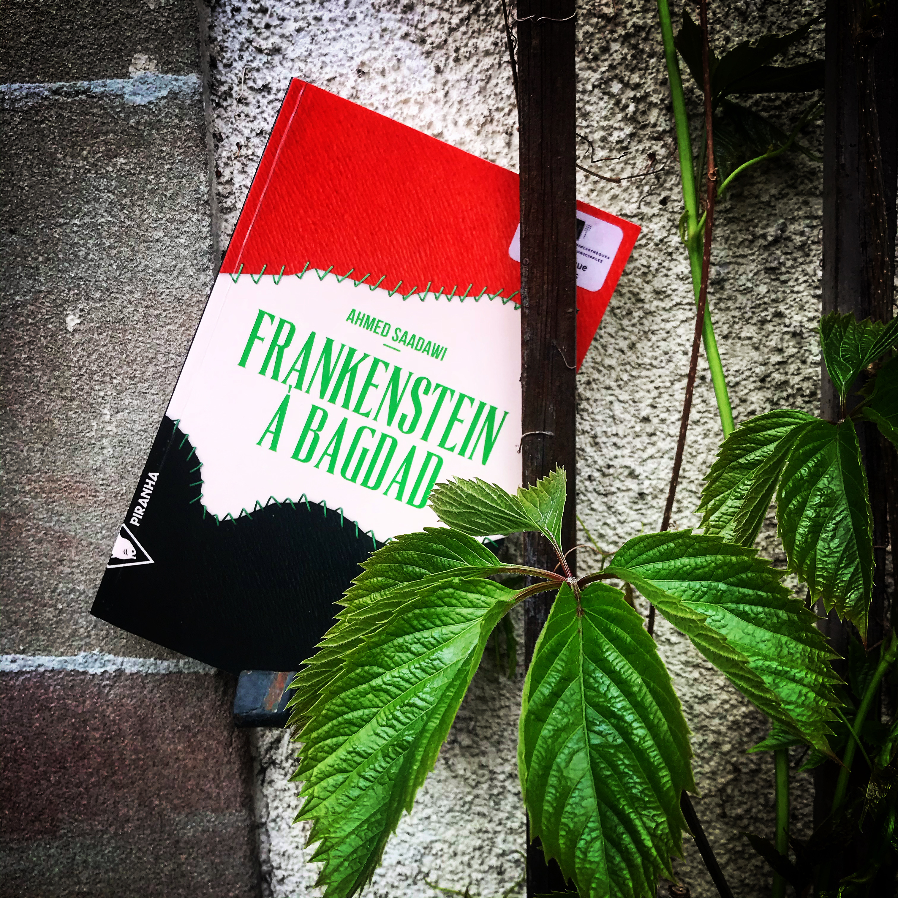 93C5E2E3-8039-497E-908C-5C4BA623C014